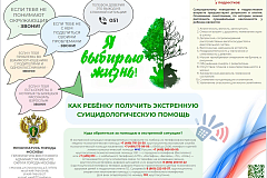 «Я выбираю жизнь!» и «Свалка мусора запрещена! Ответственность за незаконные свалки»